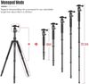 Chân Máy Ảnh Portable Travel Camera Tripod Monopod with 360 Degree Ball Head