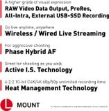  Panasonic LUMIX S5II X 