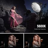  Đèn Led NEEWER FS230 COB Video Light 230W 