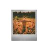 Film Polaroid Color I Type Silver Linings Double Pack ( 006154 )