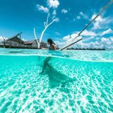  Polarpro Hero 9/10/11 FTY-FTY Dome 