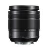 Panasonic 12-60mm F3.5-5.6 OIS