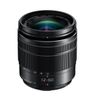  Panasonic 12-60mm F3.5-5.6 OIS 