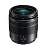 Panasonic 12-60mm F3.5-5.6 OIS