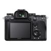 Sony A9 Mark II (Body)