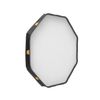 MAGMOD MagBox 24 Octa FocusDiffuser