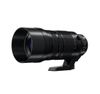 Panasonic Leica 100-400mm F4-6.3 OIS