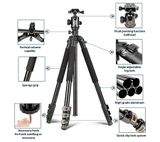  Chân Máy Beike Q298H 