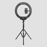  Đèn Led Ring with Light Stand Kingjoy 19'' R119 + FL2009 ( size 50cm ) 