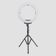 Đèn Led Ring with Light Stand Kingjoy 19'' R119 + FL2009 ( size 50cm )