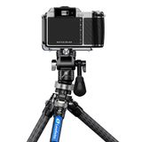  Đế Leofoto Leveling Mini LB 38 