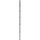  Chân Máy Benro Monopod MSD46C 