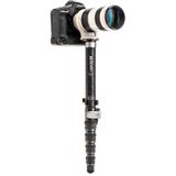  Chân Máy Benro Monopod MSD46C 
