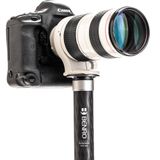  Chân Máy Benro Monopod MSD46C 