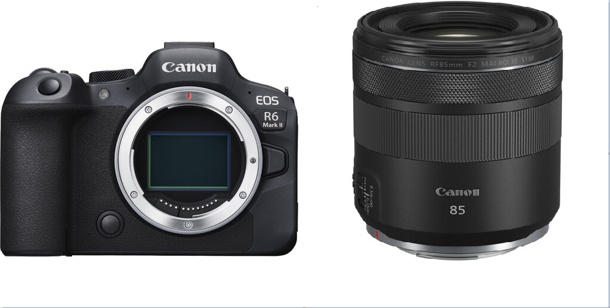 【美品】Canon RF85mm F2 MACRO IS STM プロテクター付 美品】Canon RF85mm F2 MACRO IS STM プロテクター付 極美品｜動作保証]