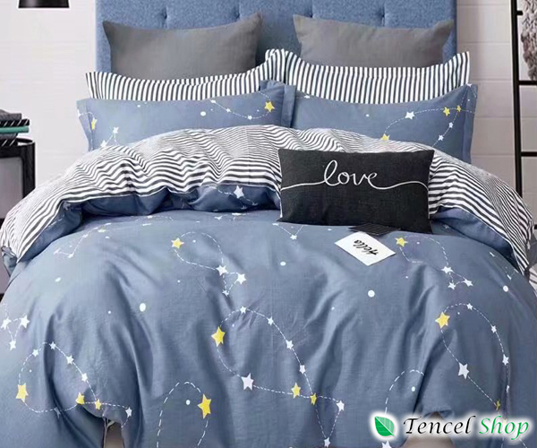 Bộ Vỏ Chăn Ga Gối Cotton 100% - CT1304