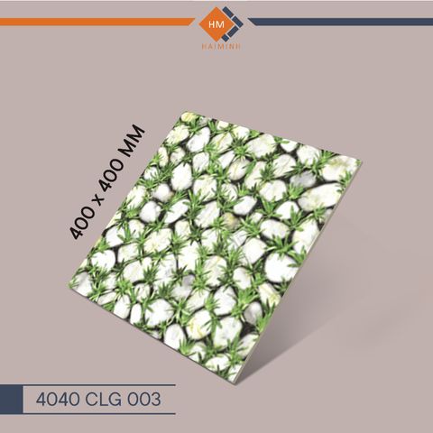 Gạch Đồng Tâm - 4040 CLG 003