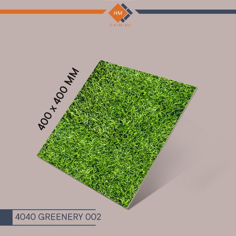 Gạch Đồng Tâm - 4040 GREENERY 002