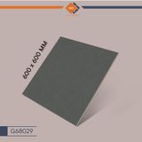 Gạch Taicera G68029 - Park Way Series