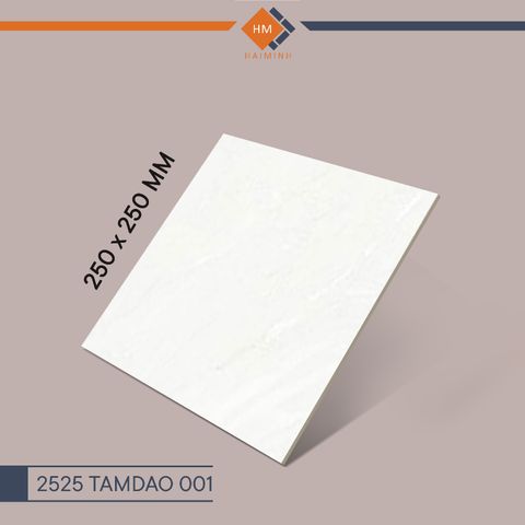 Gạch Đồng Tâm - 2525TAMDAO001