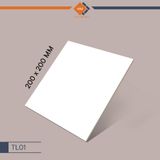 Gạch Đồng Tâm - TL01