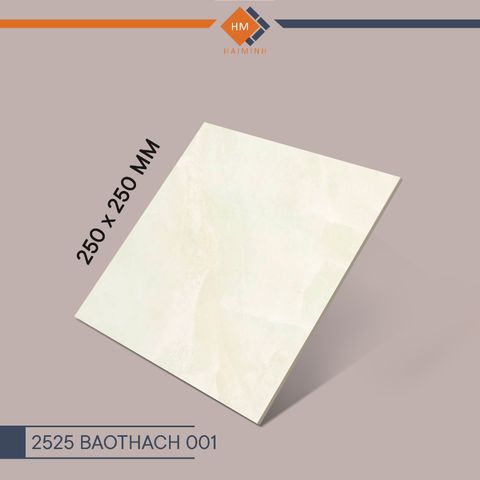 Gạch Đồng Tâm - 2525BAOTHACH001