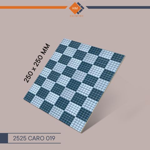 Gạch Đồng Tâm - 2525CARO019