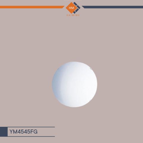 Gương -  YM4545FG