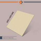 Gạch Đồng Tâm - 6060 VICTORIA 004