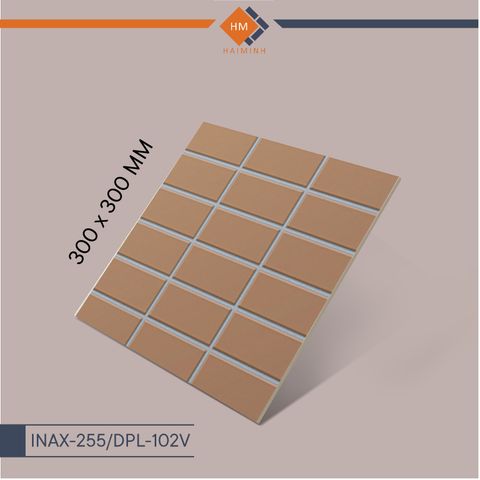 Gạch Inax - INAX-255/DPL-102V