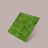 Gạch Đồng Tâm - 4040 GREENERY 002