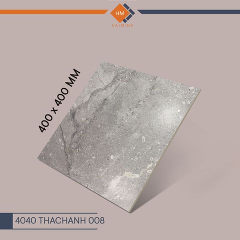 Gạch Đồng Tâm - 4040 THACHANH 008