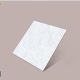 Gạch Đồng Tâm - 485