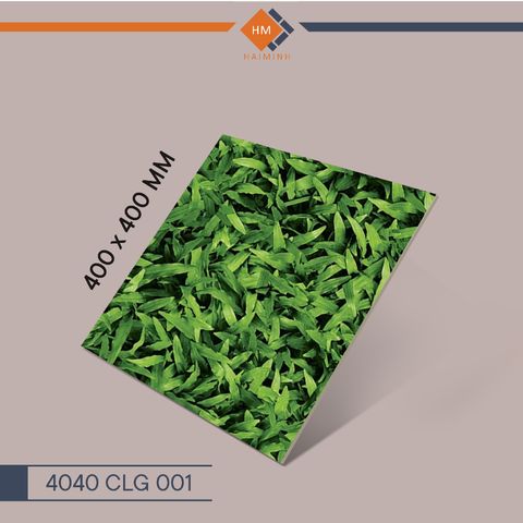 Gạch Đồng Tâm - 4040 CLG 001