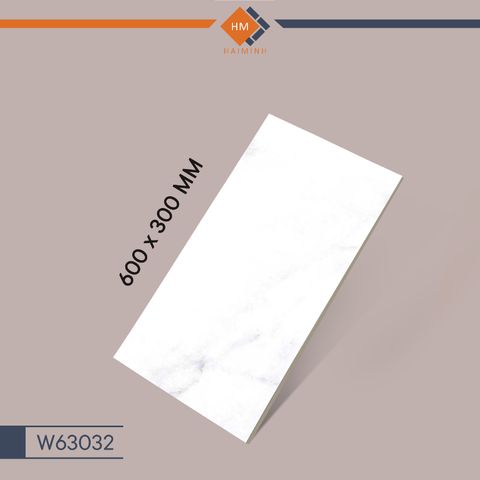 Gạch Taicera W63032