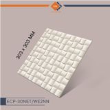 Gạch Inax - ECO-30NET/WE2NN