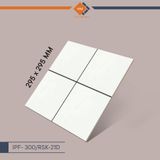 Gạch Inax - IPF- 300/RSK-21D