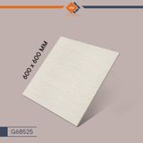 Gạch Taicera G68525 - Bush Hammer Series