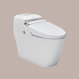 Bàn cầu 1 khối kết hợp nắp rửa điện tử - AC-1032+CW-KA22AVN