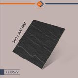 Gạch Taicera G38629 - Slate Series