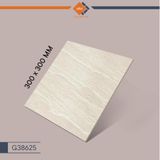 Gạch Taicera G38625 - Slate Series