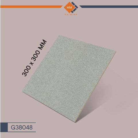 Gạch Taicera G38048 - Park Way Series