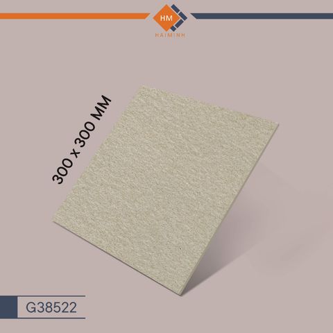 Gạch Taicera G38522 - Bush Hammer Series