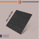 Gạch Taicera G38529 - Bush Hammer Series