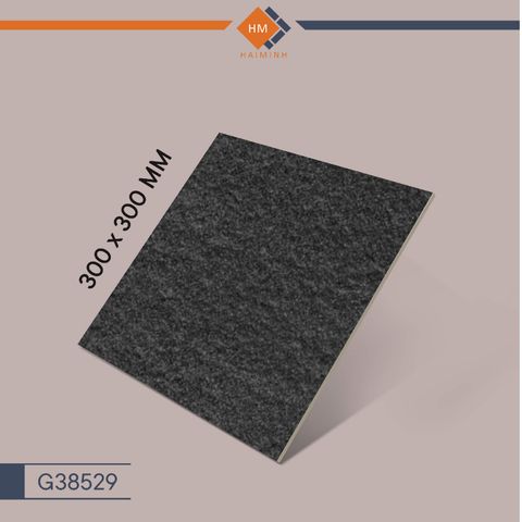 Gạch Taicera G38529 - Bush Hammer Series