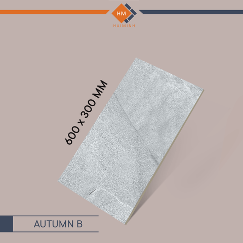 Gạch Ecotiles - AUTUMN B - AUTUMN Series