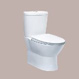 Bàn cầu 2 khối - CD1320