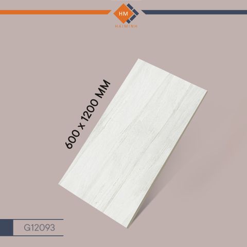 Gạch Taicera G12093  - Future Series