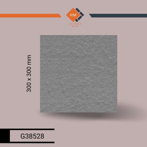 Gạch Taicera G38548 - Bush Hammer Series