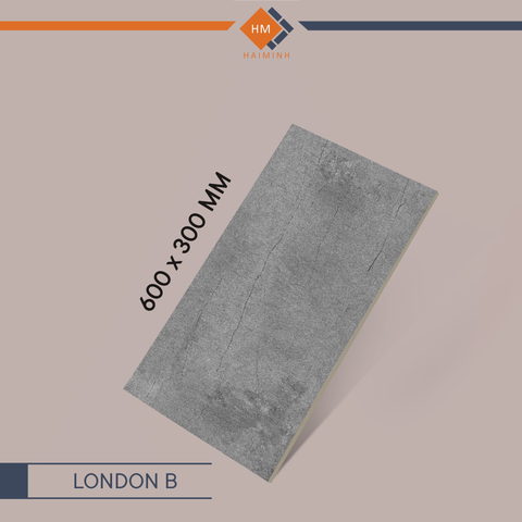 Gạch Ecotiles - LONDON B - LONDON Series